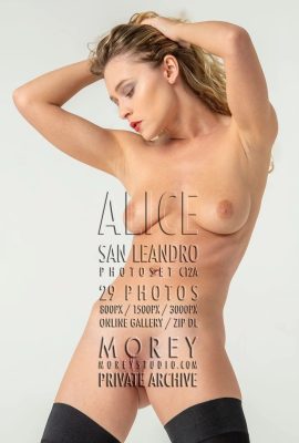 (Morey Studio)17 Sep 2024 – Alice – C12A(29P)