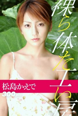 Kaede Matsushima (Buku Foto) Bengkel Badan Bogel (205P)