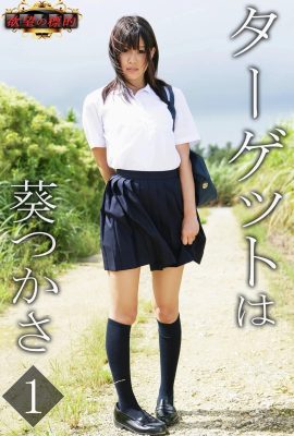 Tsukasa Aoi (Buku Foto) Sasaran Sasaran Keinginan ialah vol.1 (81P)